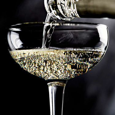 Coupe Cocktail 5.5-Oz. Glass